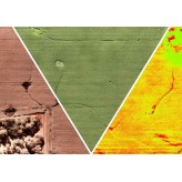DJI Phantom 4 Pro V2.0 - NDVI / NDRE