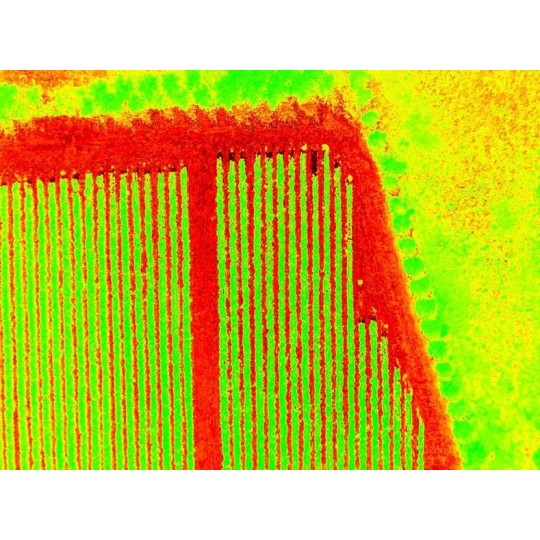 Phantom 4 pro V 2.0 - NDVI /NDRE