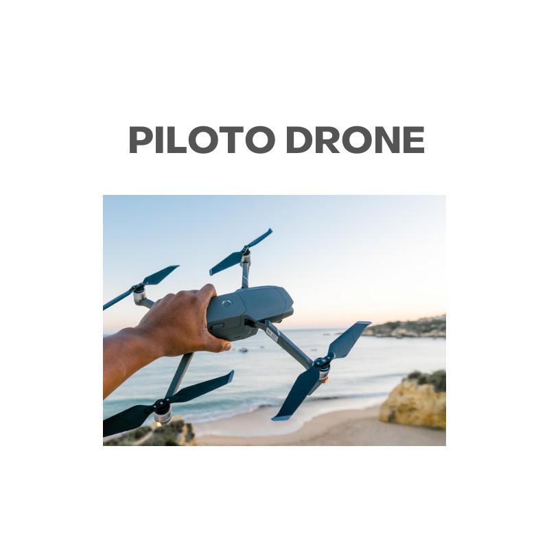 Piloto drone - drones miami florida usa
